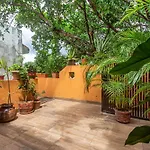 Live Like A Local, Rooftop Studio In Central Playa