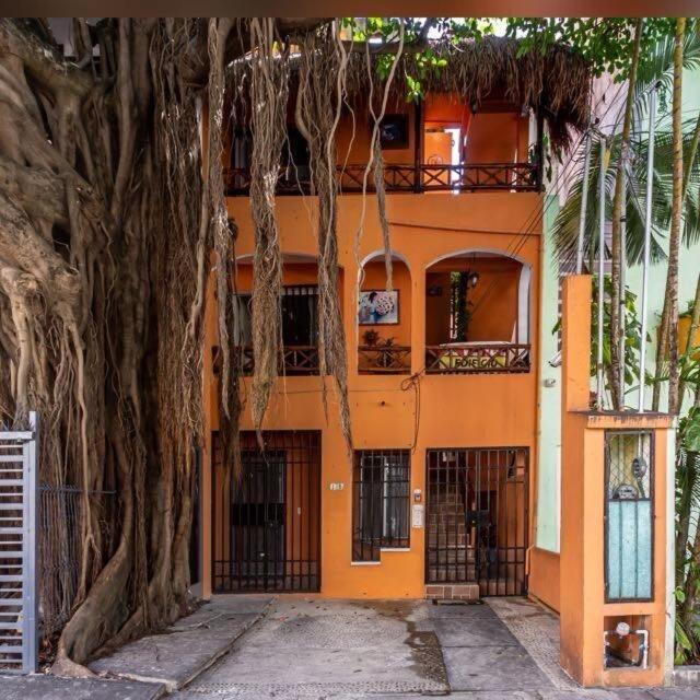 Live Like A Local, Rooftop In Playa * Playa del Carmen