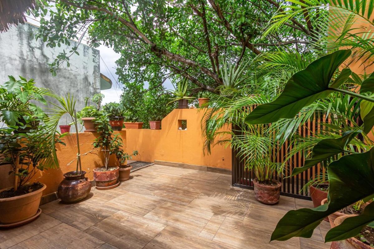 Live Like A Local, Rooftop In Playa Playa del Carmen